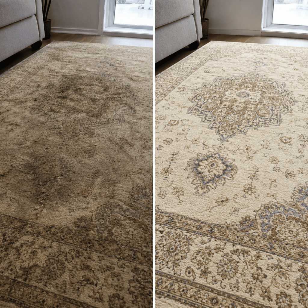 Carpet Cleaning Service Kathmandu